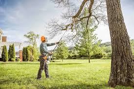  South Patrick Shores, FL Tree Services Pros